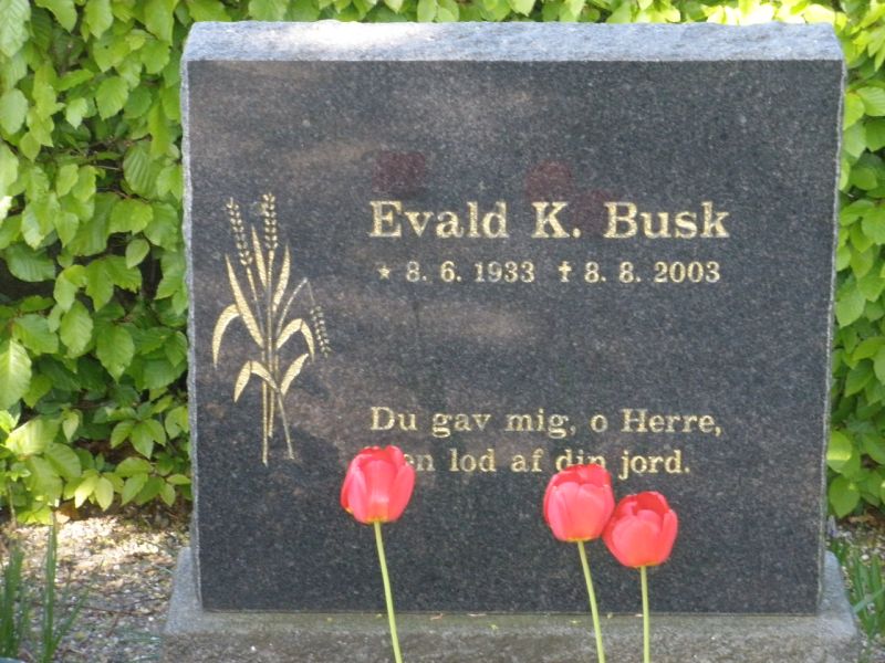 Evald K. Busk.JPG